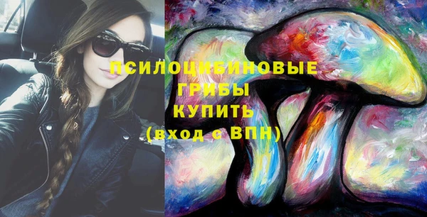 сатива Семилуки